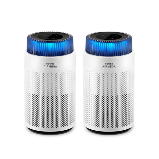 Airmega 100 Bundle