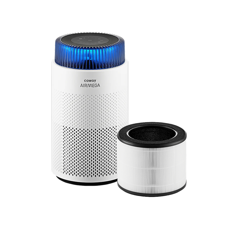 Filters Airmega 100