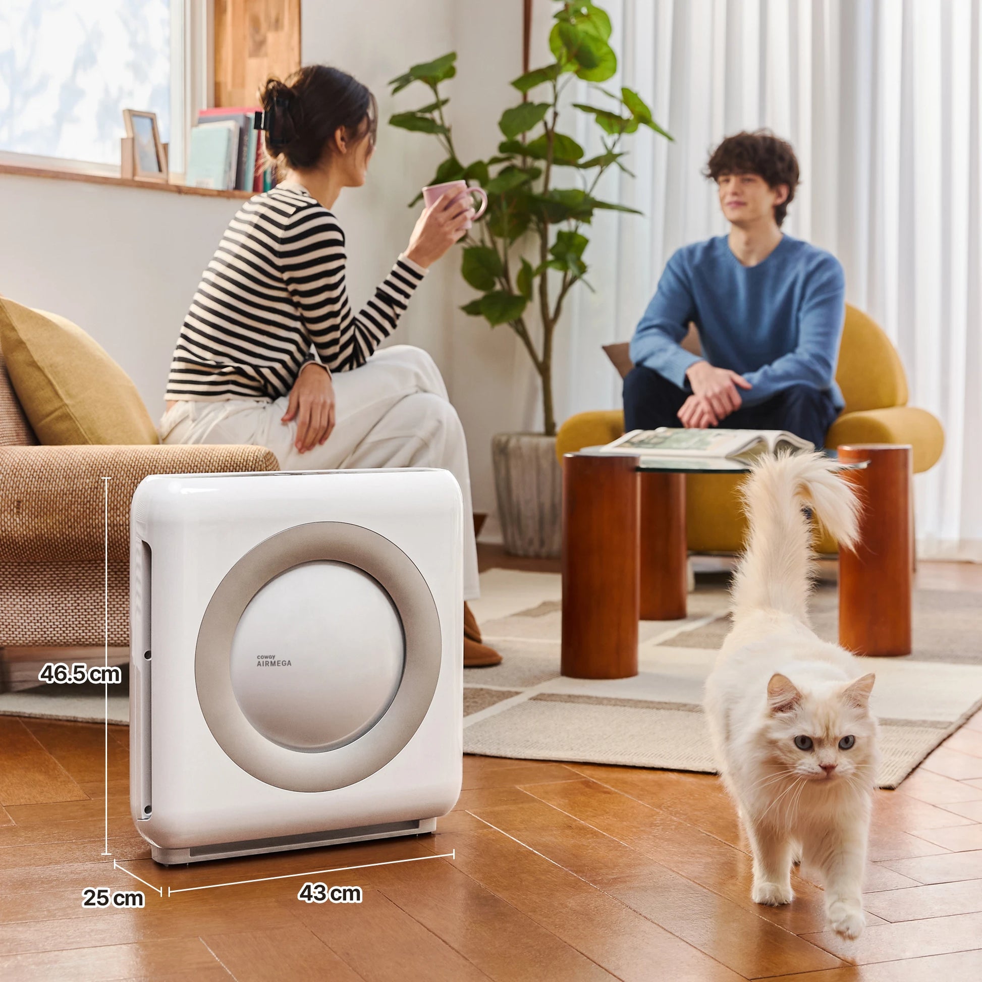 Coway Airmega Mighty Air Purifier - Official Store #1