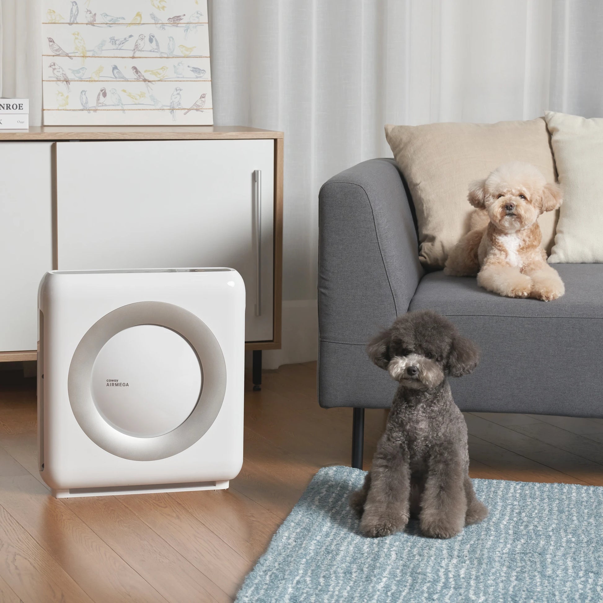 Coway Airmega Mighty Air Purifier - Official Store #1