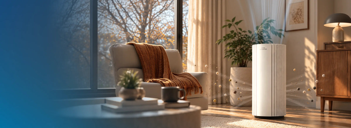 More time indoors
calls for cleaner air